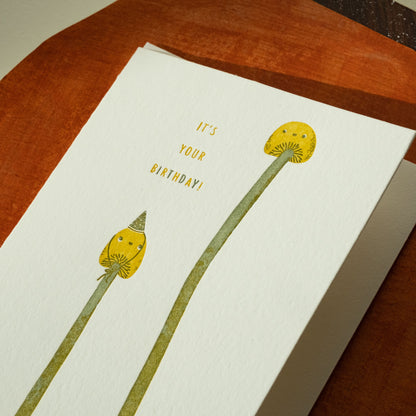 Birthday Mushrooms Greeting Card