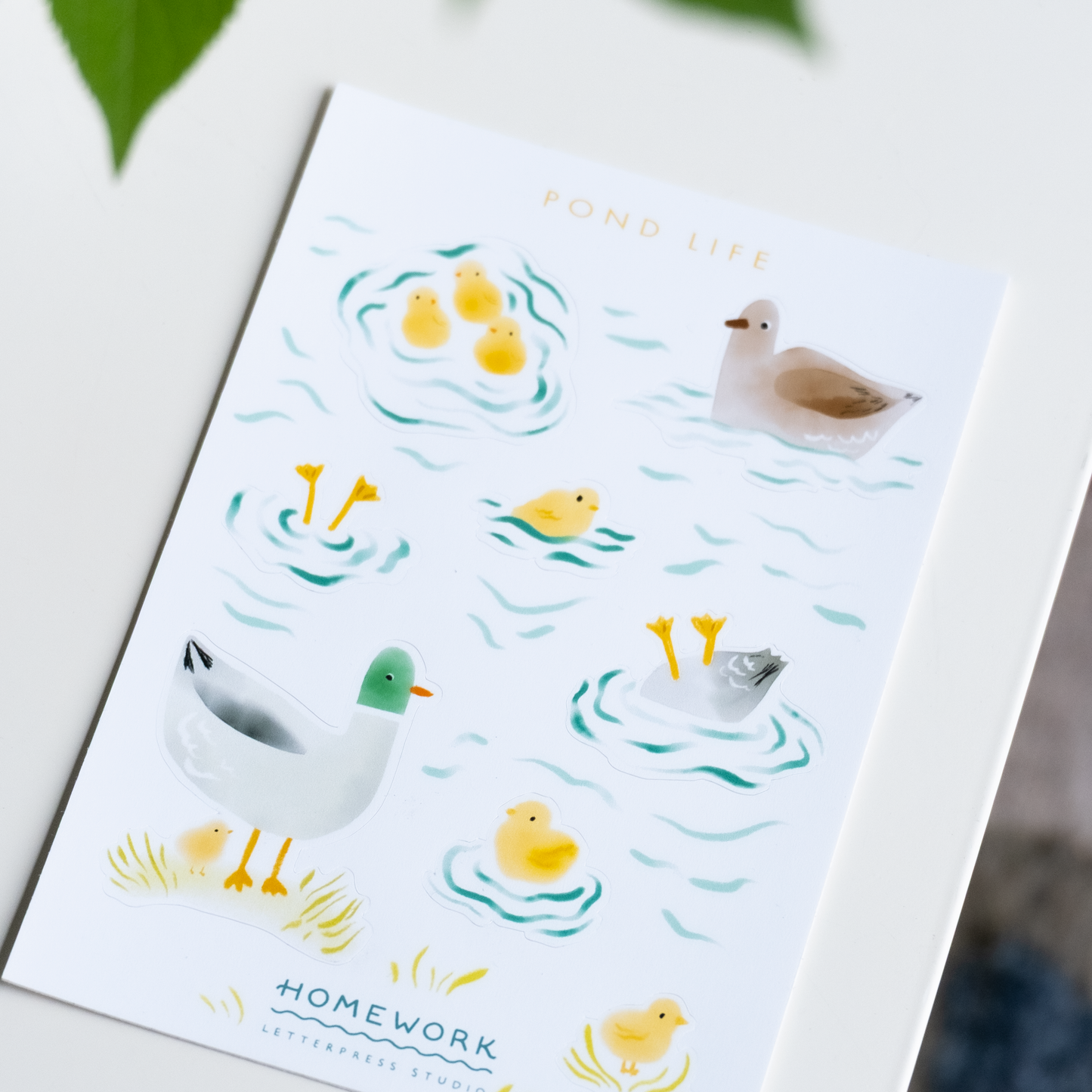 Pond Life Vinyl Sticker Sheet