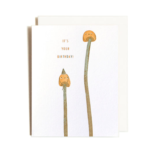 Birthday Mushrooms Greeting Card